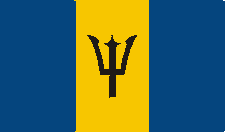 ���� ���������